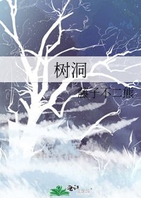 树洞