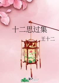 《十二思过集》
