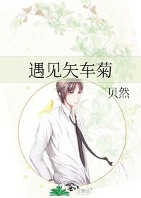《遇见矢车菊》