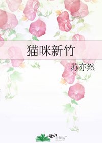 《猫咪新竹》