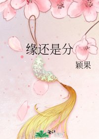 《缘还是分》