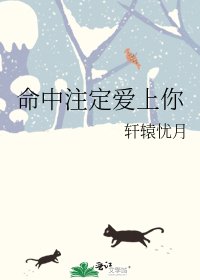 命中注定爱上你