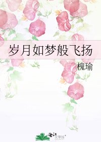 《岁月如梦般飞扬》
