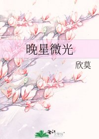 《晚星微光》