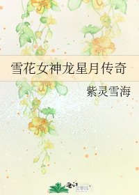 《雪花女神龍星月傳奇》
