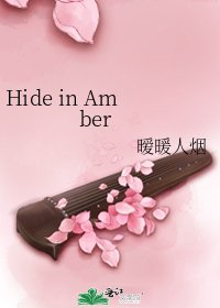 《Hide in Amber》
