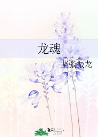《龙魂》