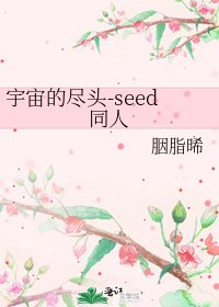 《宇宙的尽头-seed同人》