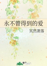 《永不曾得到的爱》