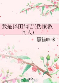 《我是泽田纲吉(伪家教同人)》