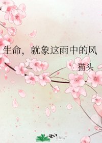 《生命,就象这雨中的风》