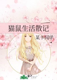 猫鼠生活散记