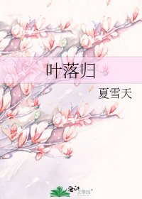 叶落归