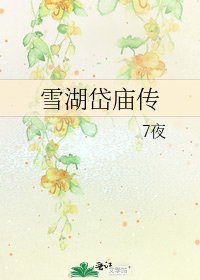 雪湖岱庙传