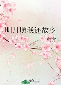 明月照我还故乡