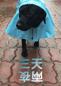 三天两夜
