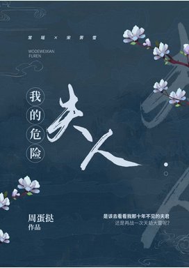 《我的危险夫人》