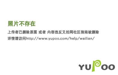 全职猎人蜘蛛有毒