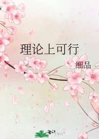 《理论上可行》