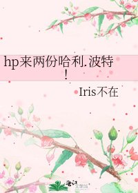 hp来两份哈利.波特！