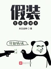 《假装至高在诸天》