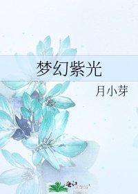 《梦幻紫光》
