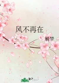 《風不再在》