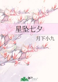 《星坠七夕》