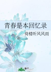 《青春是本回忆录》