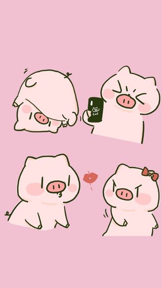 《论男团的内部消化问题》
