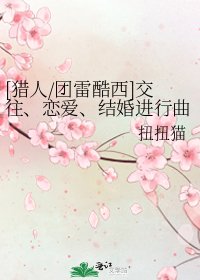 [猎人/团雷酷西]交往、恋爱、结婚进行曲