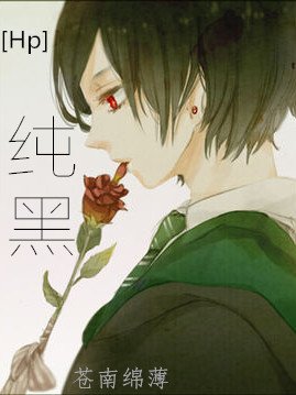 《Hp之纯黑》