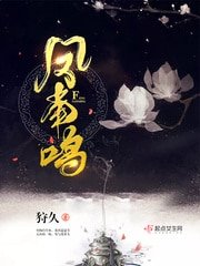 《凤南鸣》