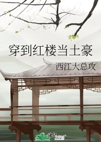 穿到红楼当土豪