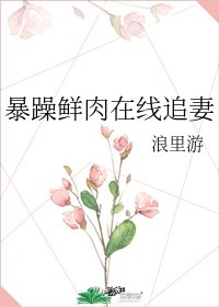 《暴躁鲜肉在线追妻》