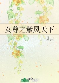 女尊之紫凤天下