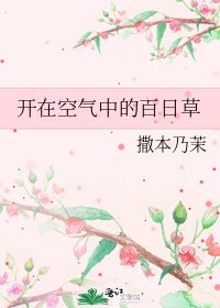 《开在空气中的百日草》