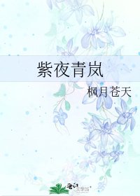 《紫夜青岚》