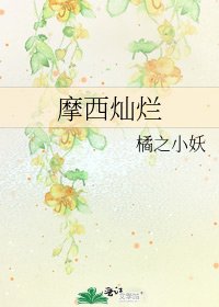 《摩西灿烂》