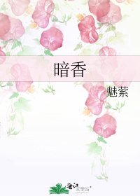 《暗香》