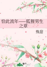 《恰此流年——狐狸男生之章》