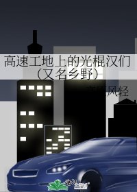 高速工地上的光棍汉们（又名乡野）