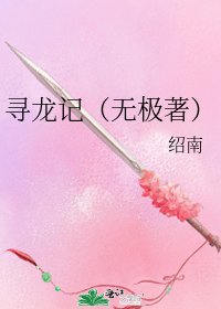 《寻龙记(无极著)》