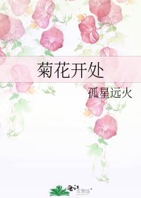 菊花开处