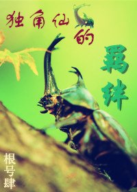 《独角仙的羁绊》