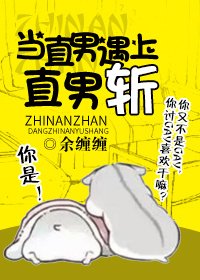 《当直男遇上直男斩》