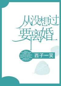 《从没想过要离婚》