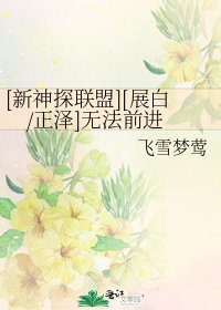 [新神探联盟][展白/正泽]无法前进