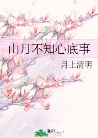 《山月不知心底事》