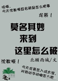 （镇魂同人）莫名其妙来到这里怎么破